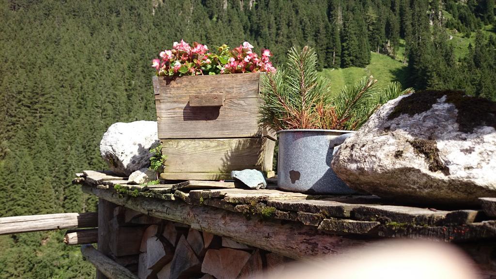 Hotel Eckartauerhof Mayrhofen Extérieur photo