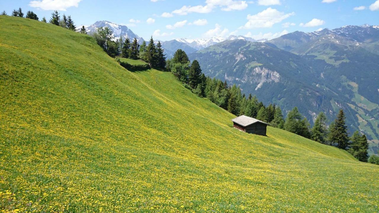 Hotel Eckartauerhof Mayrhofen Extérieur photo